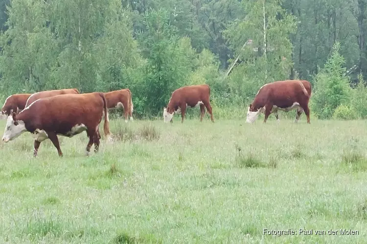 Noordelijke provincies werken samen aan toezicht en handhaving natuur