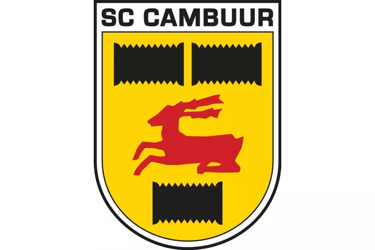 Trainer Henk de Jong stopt per direct bij SC Cambuur