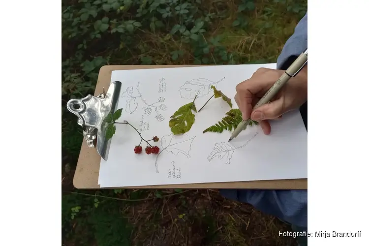 Een creatief schets- en schilderavontuur in de natuur  Workshop Natuurjournalen